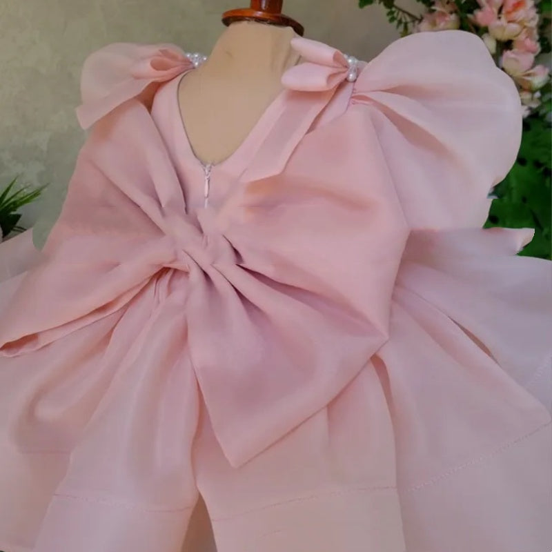 Flower Girl Puffy Baby Little Host Princess Dress