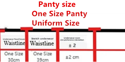 Parisian French Lingerie Set Sheer Tulle, Pink Floral Embroidery Bra Bralette, Sexy Pure Matching Set BANERDANNI Sexy Tushy Bras