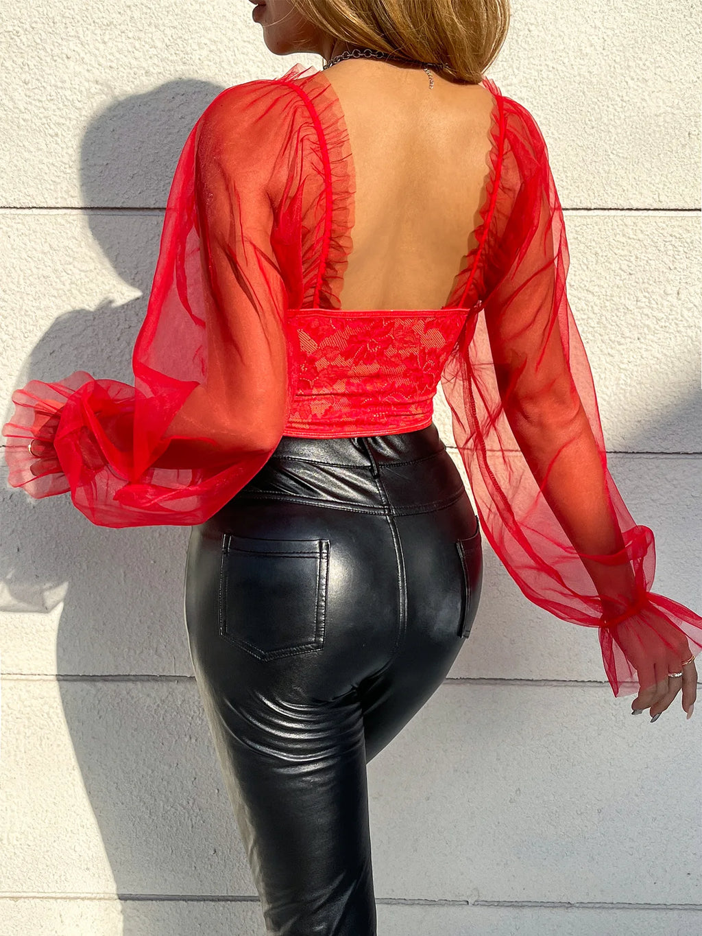 The Midnight Mesh Versailles Corset | Sheer Long Sleeve Bustier | Backless Crop Top | Parisian Princess