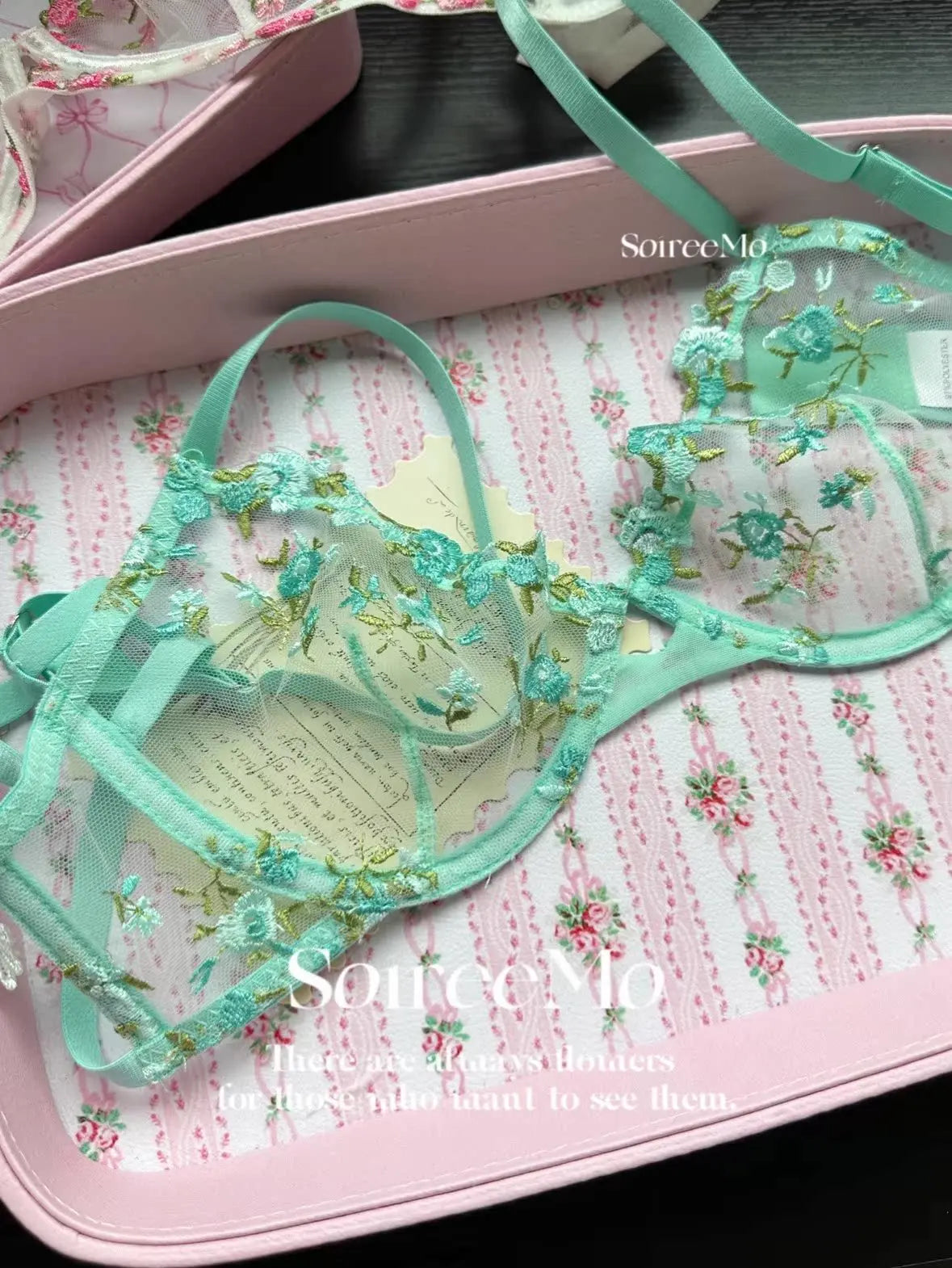 Parisian French Lingerie Set Sheer Tulle, Pink Floral Embroidery Bra Bralette, Sexy Pure Matching Set BANERDANNI Sexy Tushy Bras