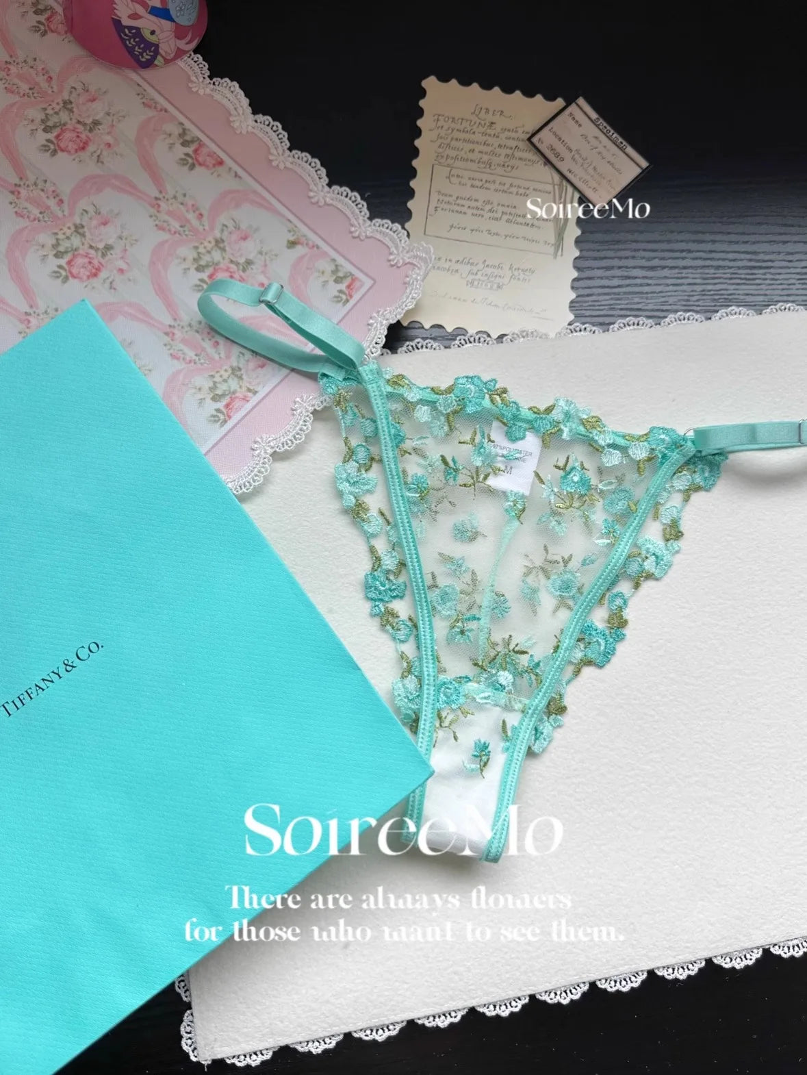 Parisian French Lingerie Set Sheer Tulle, Pink Floral Embroidery Bra Bralette, Sexy Pure Matching Set BANERDANNI Sexy Tushy Bras