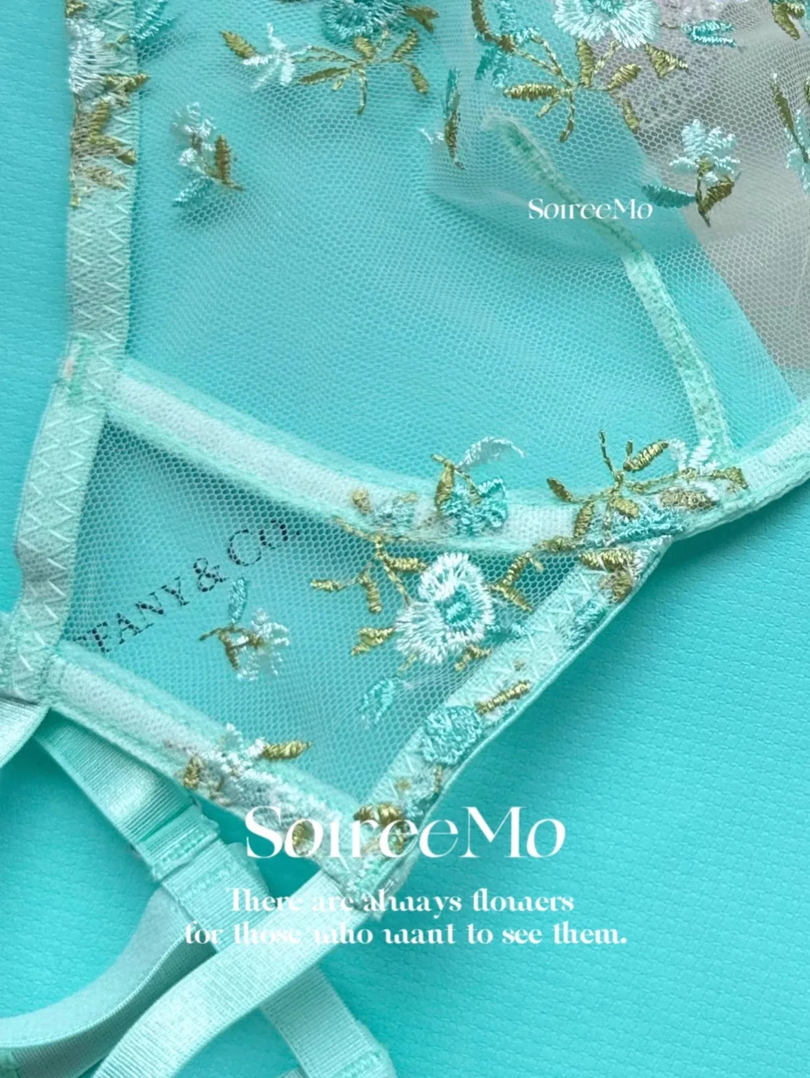 Parisian French Lingerie Set Sheer Tulle, Pink Floral Embroidery Bra Bralette, Sexy Pure Matching Set BANERDANNI Sexy Tushy Bras