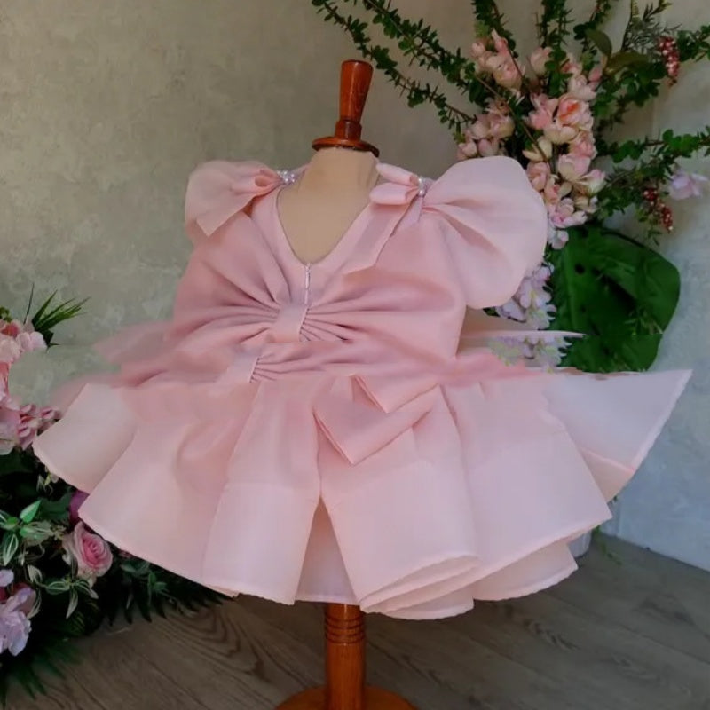 Flower Girl Puffy Baby Little Host Princess Dress